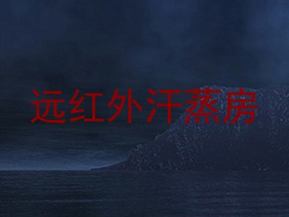 远红外汗蒸房