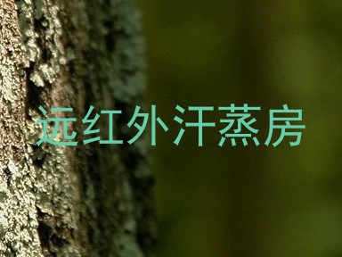 远红外汗蒸房