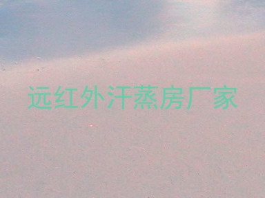 远红外汗蒸房厂家