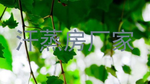 汗蒸房厂家