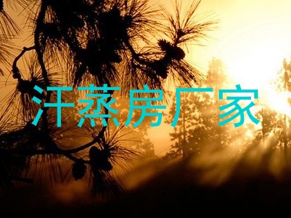 汗蒸房厂家