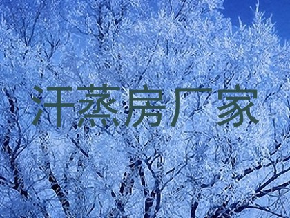 汗蒸房厂家