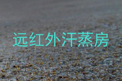 远红外汗蒸房