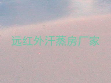 远红外汗蒸房厂家
