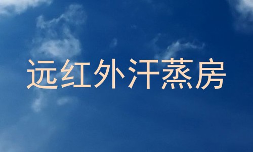 远红外汗蒸房