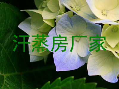 汗蒸房厂家