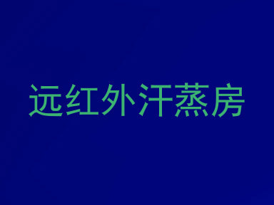 远红外汗蒸房