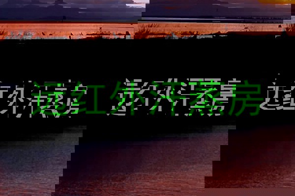 远红外汗蒸房