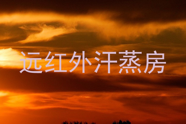 远红外汗蒸房