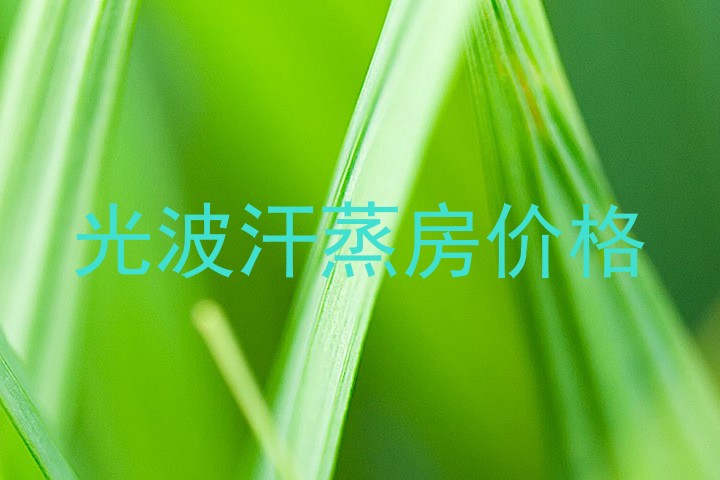 光波汗蒸房价格
