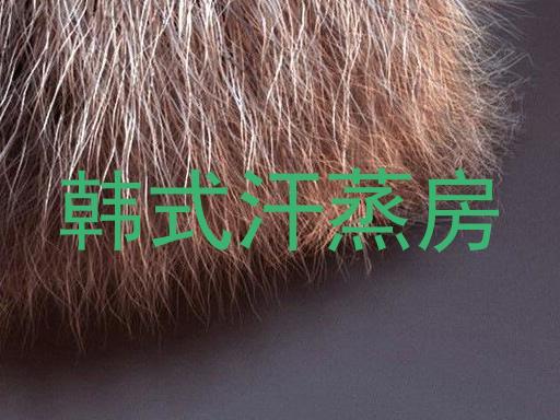 韩式汗蒸房