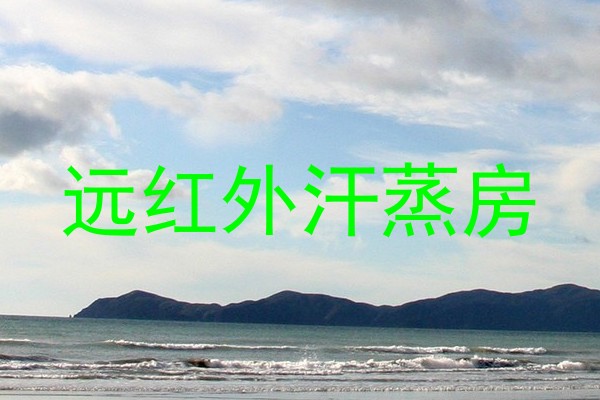 远红外汗蒸房