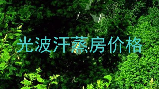 光波汗蒸房价格
