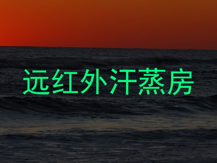 远红外汗蒸房