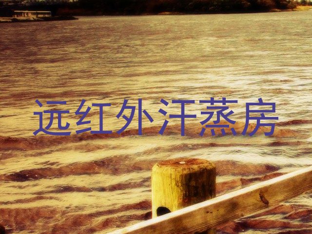 远红外汗蒸房