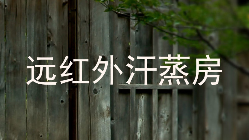 远红外汗蒸房