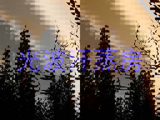 光波汗蒸房