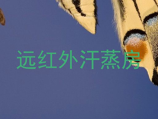 远红外汗蒸房