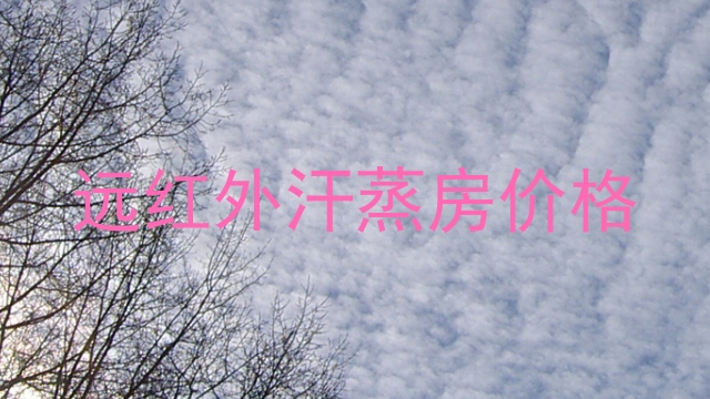 远红外汗蒸房价格