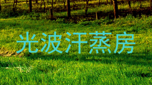 光波汗蒸房