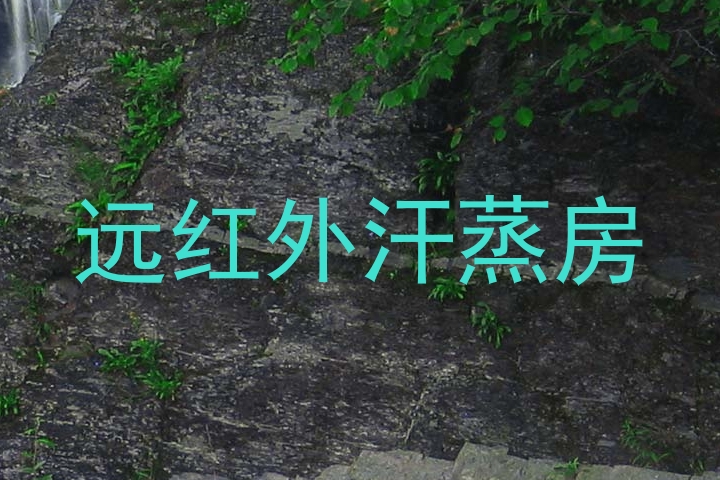 远红外汗蒸房