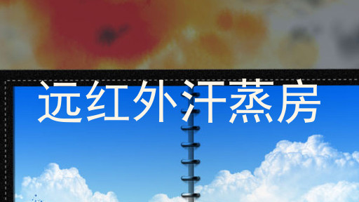 远红外汗蒸房
