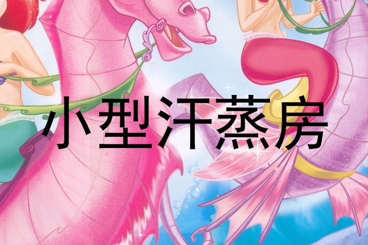 小型汗蒸房