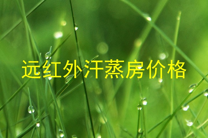 远红外汗蒸房价格