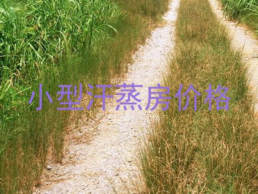 小型汗蒸房价格