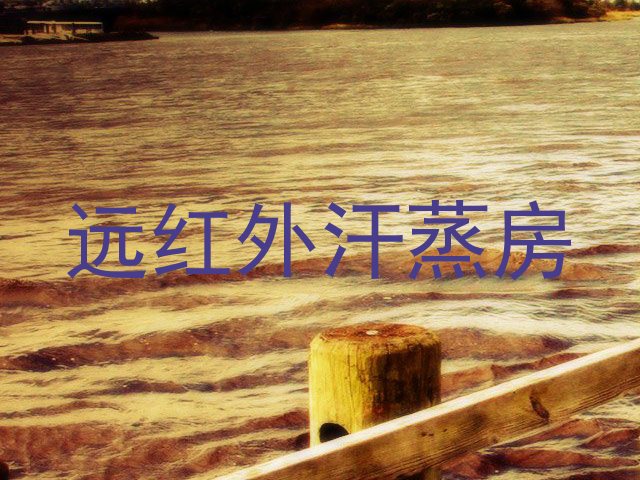 远红外汗蒸房