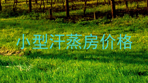 小型汗蒸房价格