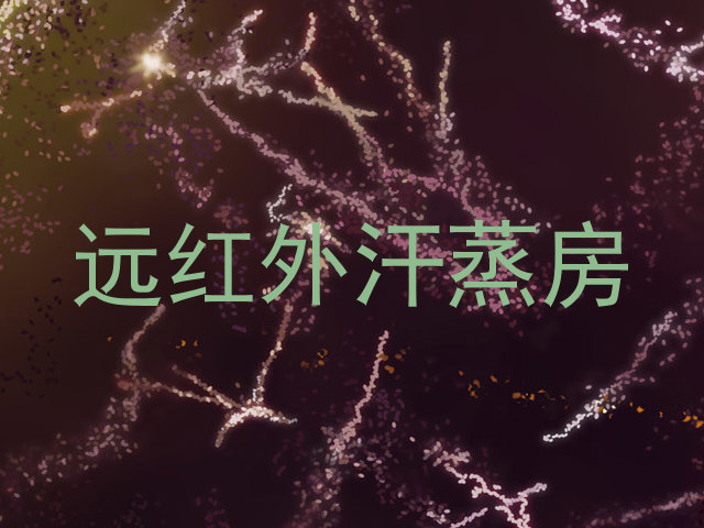 远红外汗蒸房