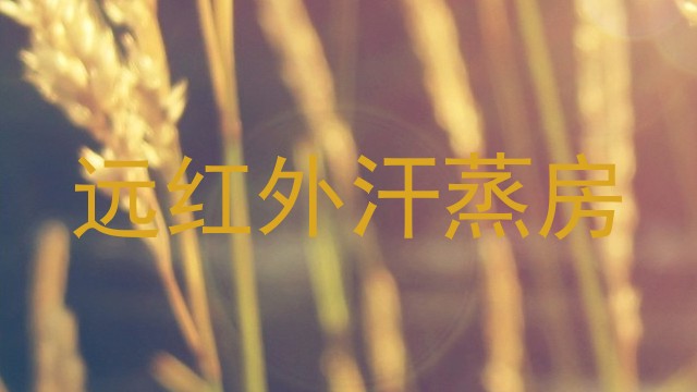 远红外汗蒸房