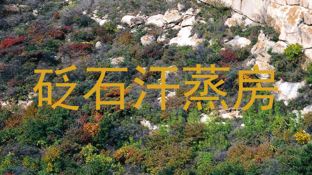 砭石汗蒸房
