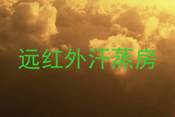 远红外汗蒸房