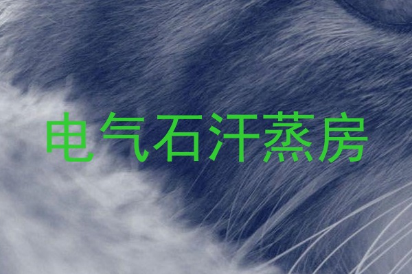 电气石汗蒸房