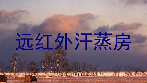 远红外汗蒸房
