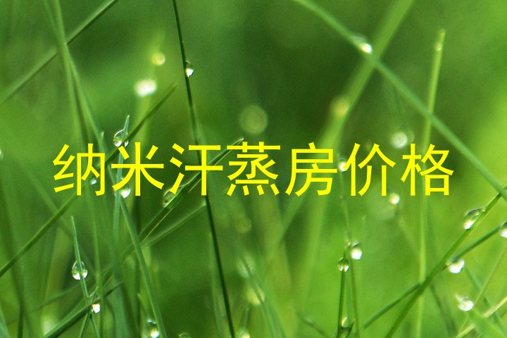 纳米汗蒸房价格