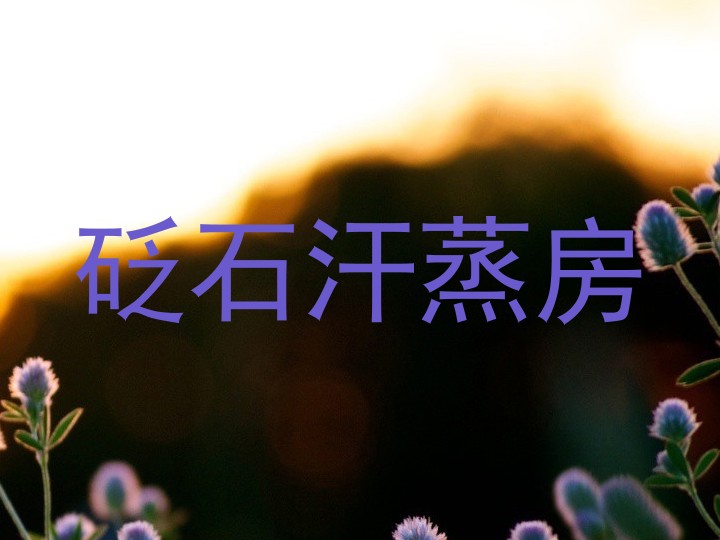 砭石汗蒸房
