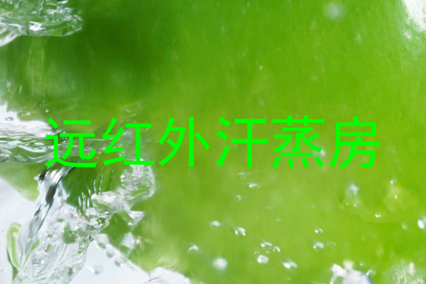 远红外汗蒸房