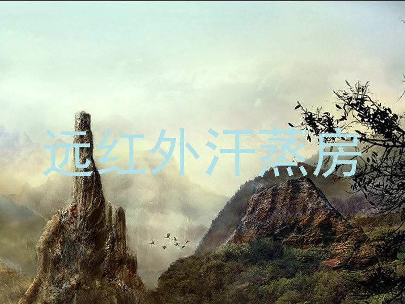 远红外汗蒸房