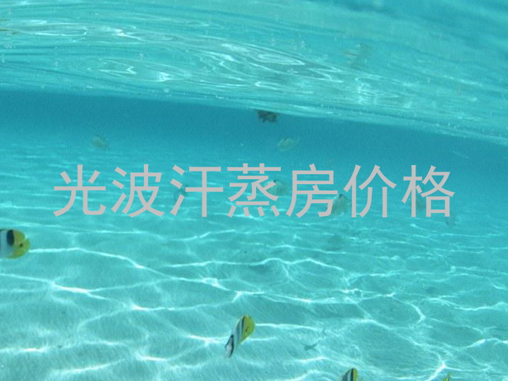 光波汗蒸房价格