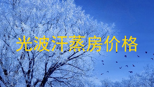 光波汗蒸房价格