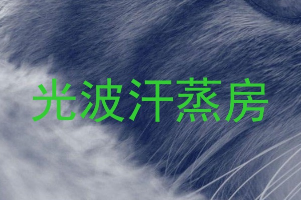 光波汗蒸房