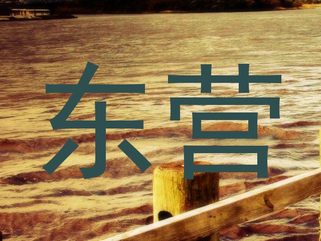 东营