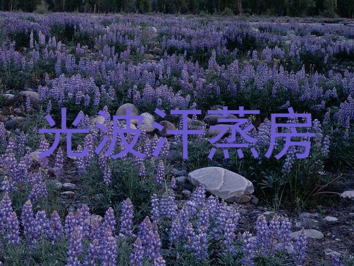 光波汗蒸房