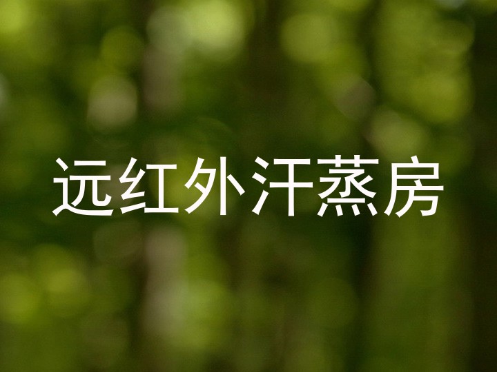 远红外汗蒸房