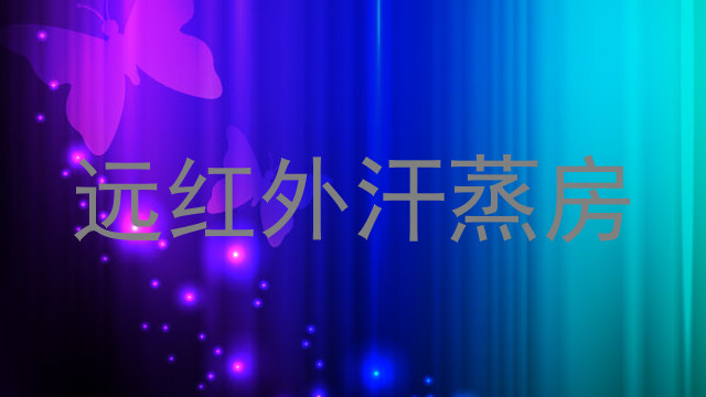 远红外汗蒸房