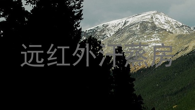 远红外汗蒸房