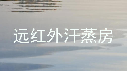 远红外汗蒸房